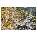 Bosc Le Rouelx -26
